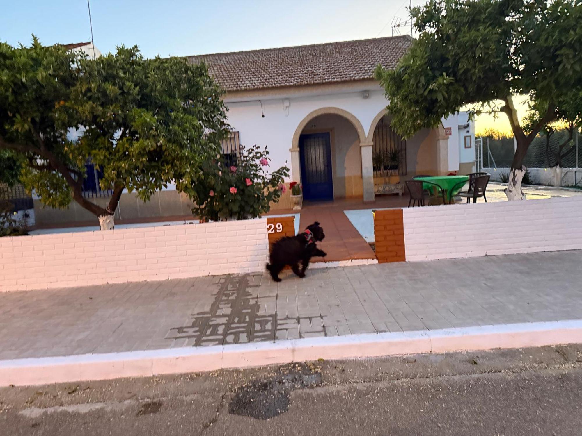 La Casa Del Flamenco Villa Cañada del Rabadán Bagian luar foto