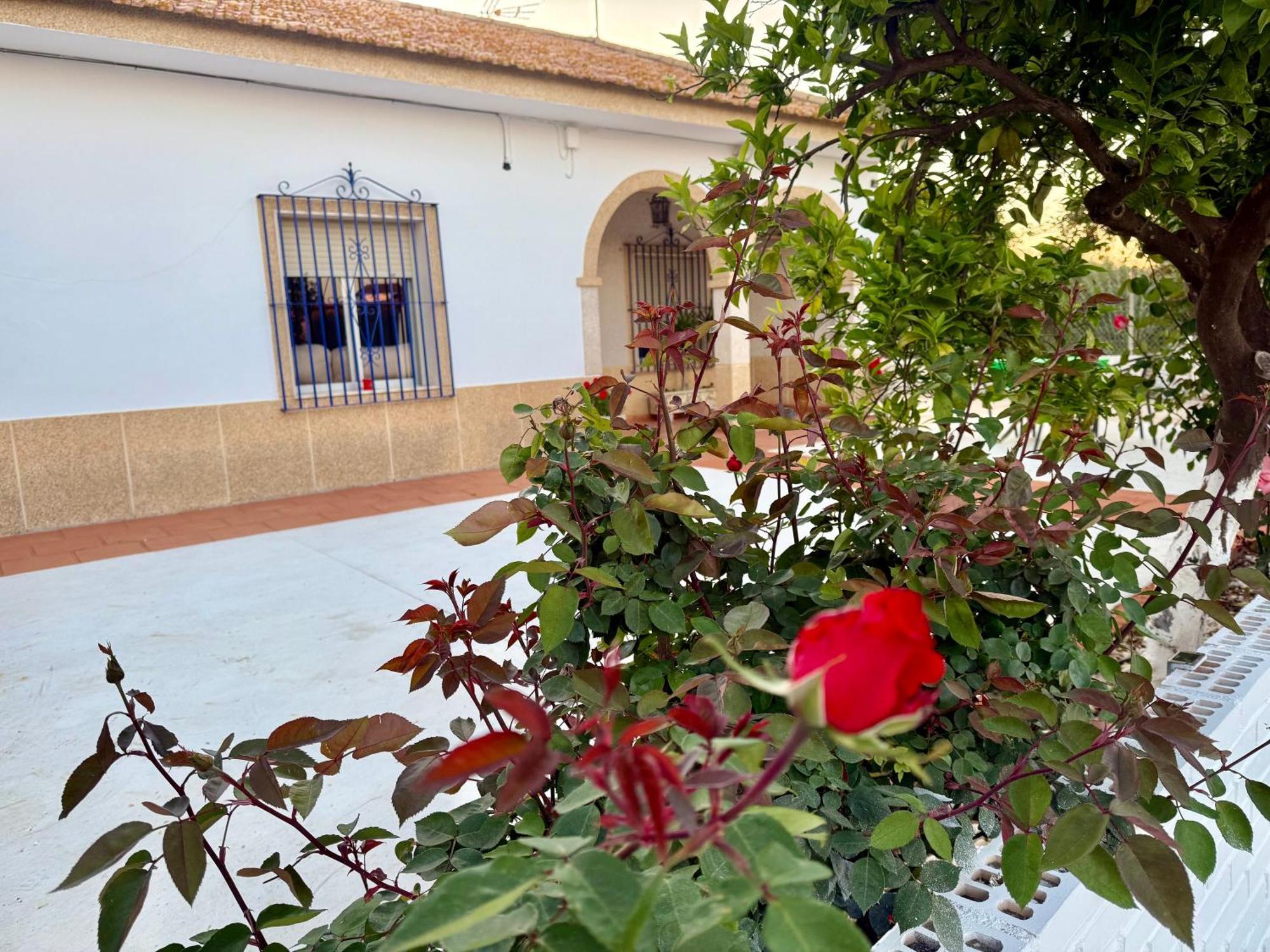 La Casa Del Flamenco Villa Cañada del Rabadán Bagian luar foto