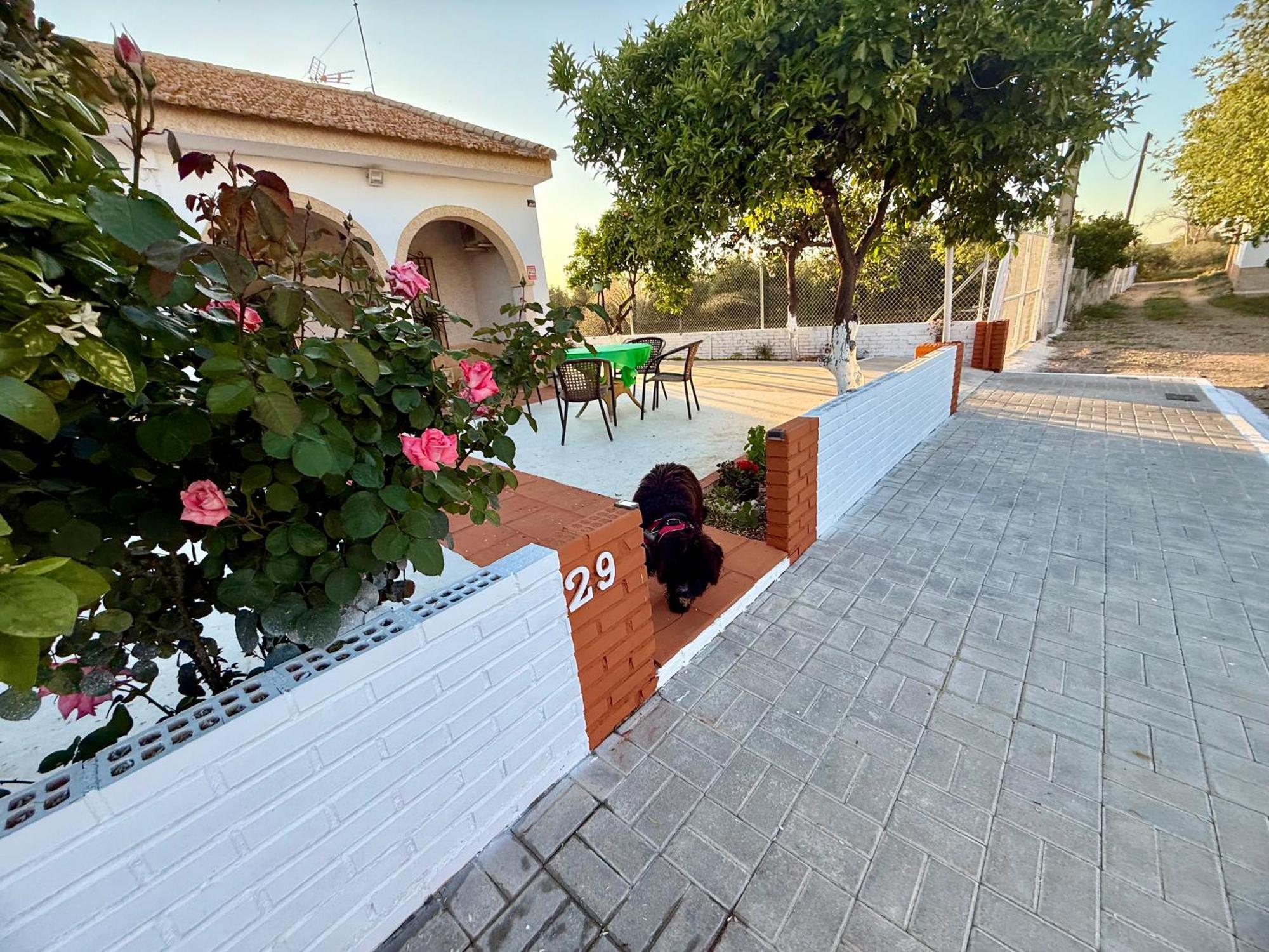 La Casa Del Flamenco Villa Cañada del Rabadán Bagian luar foto
